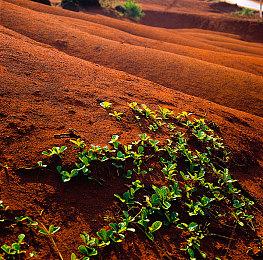 《无主之地4》取消迷你地图引热议 工作室CEO回应该专心游戏